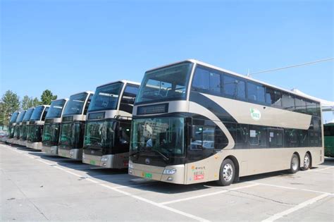 郑州交通运输集团2020年招聘