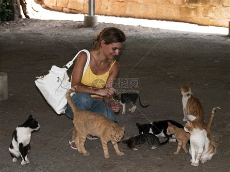 一个女人在马耳他享受一群流浪猫高清图片下载-正版图片502616845-摄图网