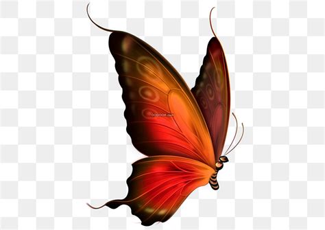 高清特写一只红色的蝴蝶挥舞着巨大的翅膀免抠PNG素材
