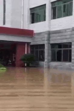 “本台报道，本台被淹了”！洪水中，醴陵电视台记者划船上班 - 市州精选 - 湖南在线 - 华声在线