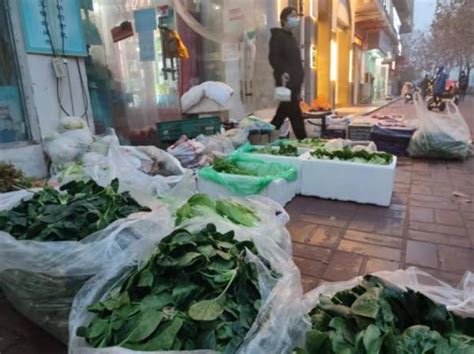 雪后郑州蔬菜价格平稳 白菜比10天前还便宜了-大河网