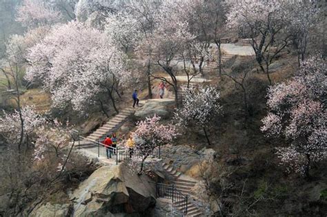 2019小草坝红叶节时间+地点+门票+活动介绍_旅泊网