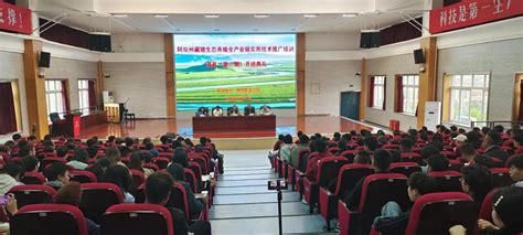 阿坝州藏猪生态养殖全产业链实用技术推广培训-阿坝职业学院农牧系