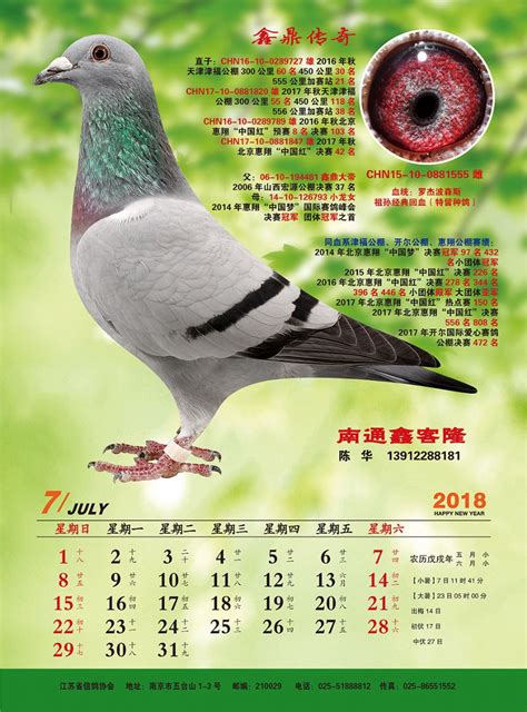 江苏省信鸽协会---中国信鸽信息网各地信鸽协会栏目