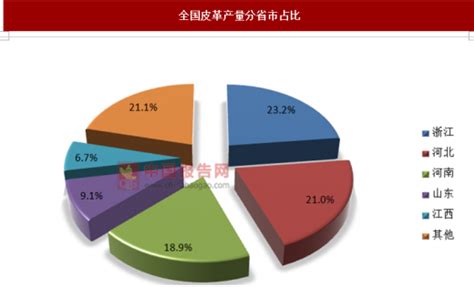 2018年中国皮革行业分析报告-市场运营态势与发展趋势预测 - 中国报告网