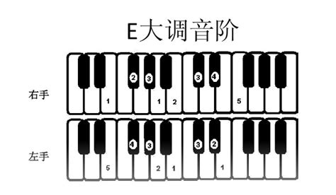 电子琴1234567指法图下载-钢琴1234567指法图完整版-东坡下载