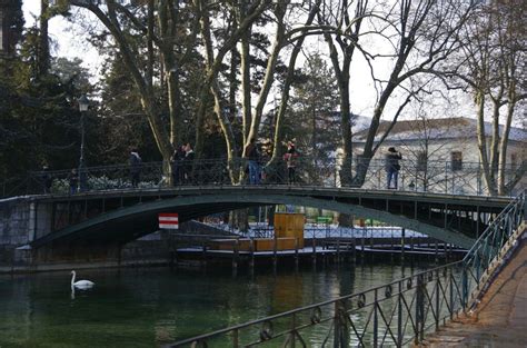 2022爱情桥游玩攻略,当然，站在桥上也是拍摄安纳...【去哪儿攻略】