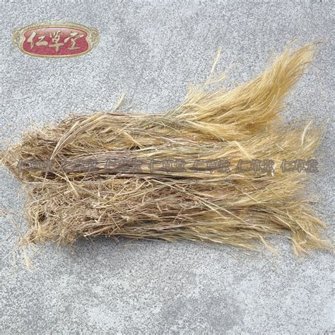 猫毛草图片