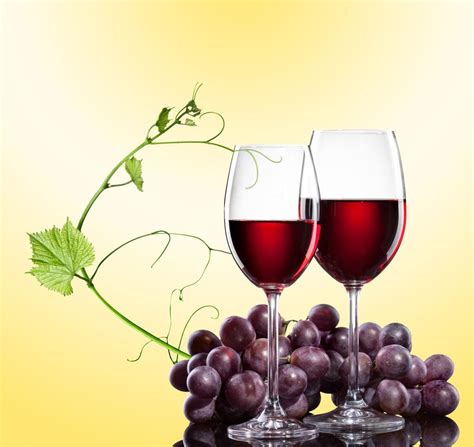 葡萄酒的功效与作用 喝葡萄酒的好处和坏处 - 鲜淘网