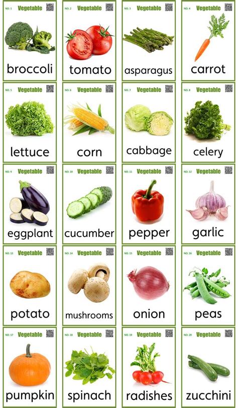 蔬菜英语-蔬菜英语,蔬菜,英语 - 早旭阅读