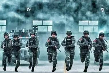 中国人民武装警察部队特警部队 雪豹突击队 - 队员_DAMTOYS-站酷ZCOOL