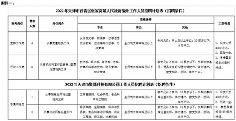 2022年天津市西青区张家窝镇编外工作人员招聘13人公告_天津公务员考试网