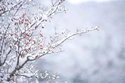 形容冬天的诗句，形容冬天的诗句唯美古诗_速网