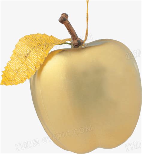 金苹果在白色背景上被孤立高清图片下载-正版图片505995890-摄图网