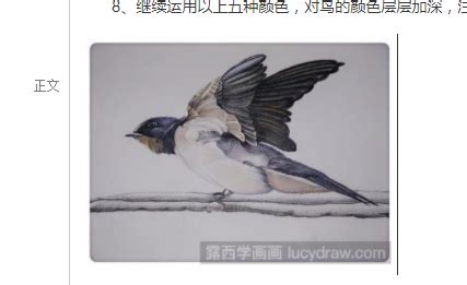 一群展翅飞翔的和平鸽子PSD素材免费下载_红动中国