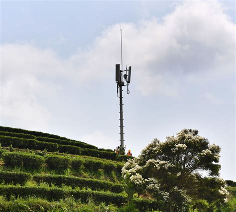 云浮移动 ：加强通讯信号建设 助力绿色生态旅游