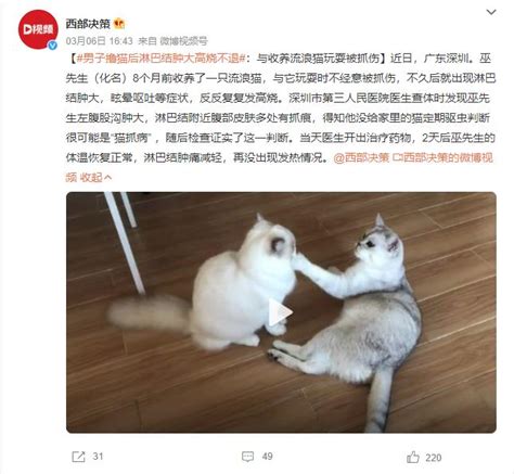 男子撸猫后淋巴结肿大高烧不退 得了“猫抓病”-闽南网