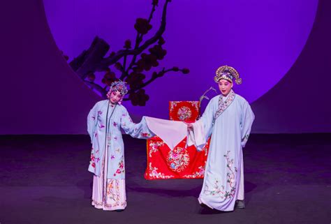 临沂大剧院-上海昆剧团昆曲《牡丹亭》