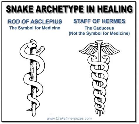 两条蛇缠绕在一起标志,蛇标志,医院标志蛇和杖_大山谷图库