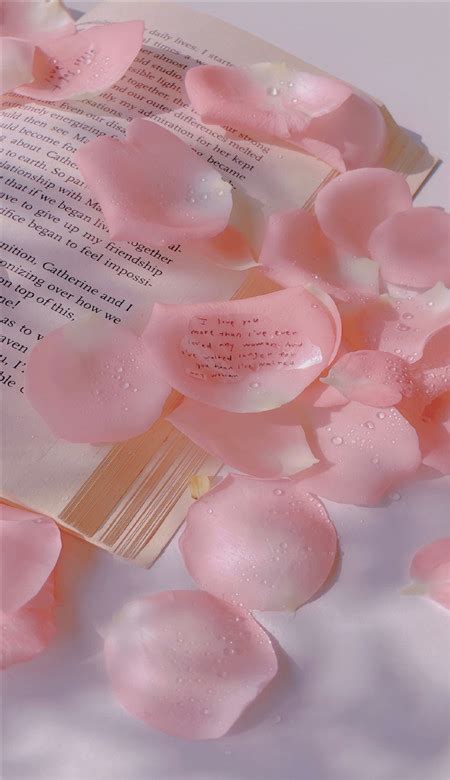 粉色系唯美很浪漫的无水印全屏壁纸 汹涌的爱意总要有个交代-腾牛个性网