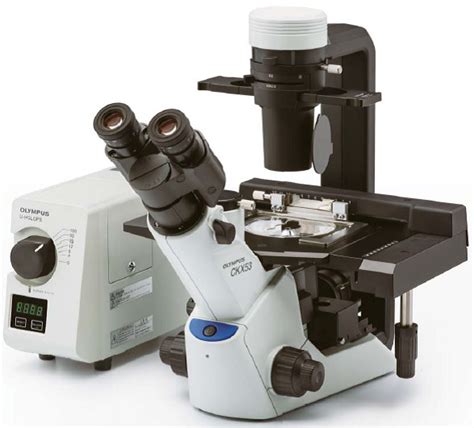 olympus显微镜中国公司 奥林巴斯GX51-奥林巴斯中国-化工仪器网