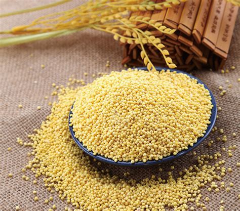 印度香米被称为“世界上最贵的大米”，虽然贵但只有当地人吃得下|香米|印度|大米_新浪新闻