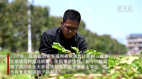 上海新农人｜希望的田野上，新农人“播种”新理想