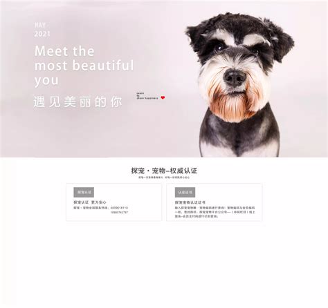 宠物公司的一些线上设计和logo海报设计|平面|宣传品|rgbjyt - 原创作品 - 站酷 (ZCOOL)