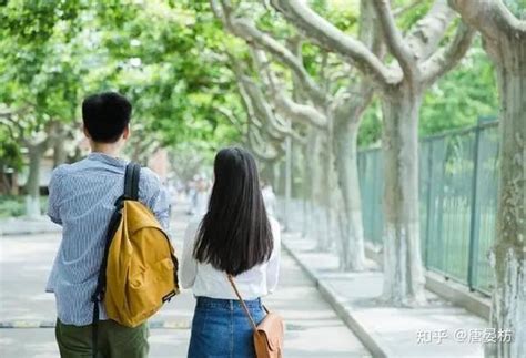 恋爱前规则高清下载