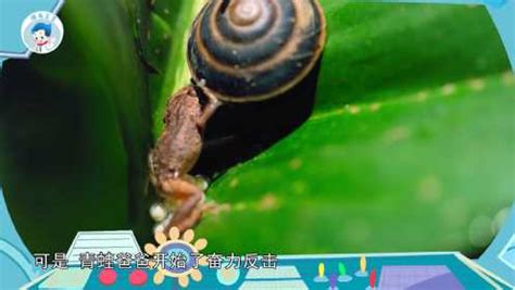 小小世界历险记：带孩子探秘小动物的世界 第01集 蜗牛，才是真正的牛