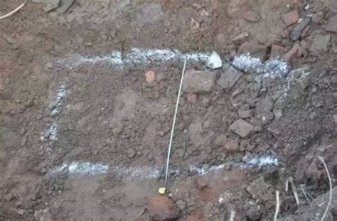 10岁小男孩神秘失踪 28年后尸骨在猪圈被找到_国内社会_国内_天下_新闻中心_台海网