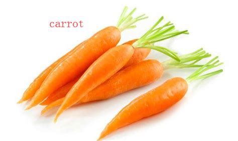 胡萝卜的英文单词（索思英语解码单词（第86个）——carrot胡萝卜） | 说明书网