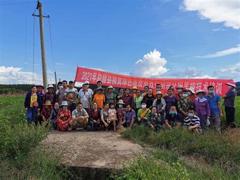 勐腊县农业技术推广中心举办杂交稻旱种菜稻轮作技术培训会