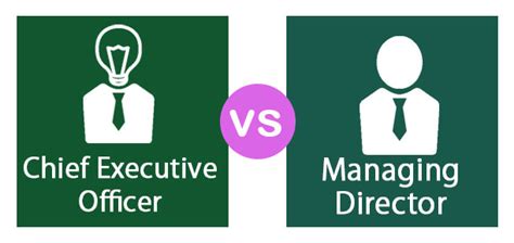 What are the responsibilities of a Chief Executive Officer (CEO)?