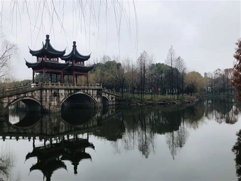 2019上海薰衣草公园-旅游攻略-门票-地址-问答-游记点评，上海旅游旅游景点推荐-去哪儿攻略