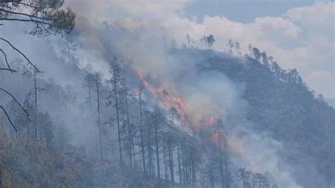 开屏新闻-云南森林消防驰援重庆阻击山火，这几个瞬间看得人热泪盈眶