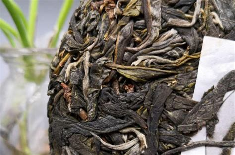 临沧片区有哪些茶品，特点如何 - 昵茶网