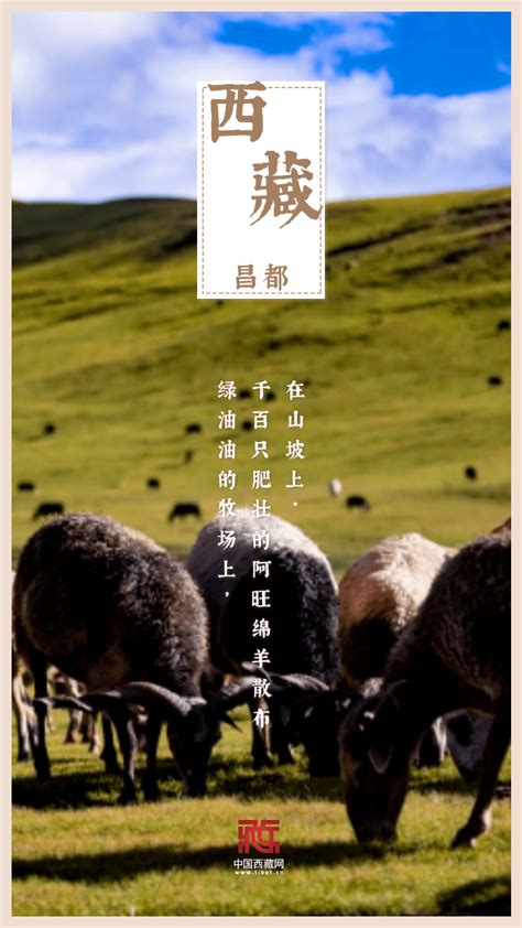从这组数说宝“藏”海报，看西藏今日幸福生活_深圳新闻网