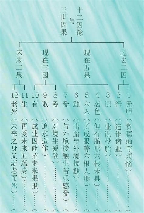 十二因缘图解图片