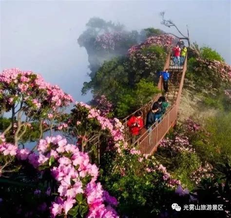 遂宁到重庆武隆天坑自驾线路|武隆旅游网