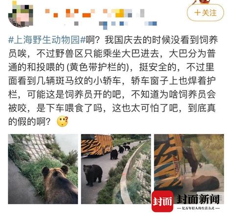 上海野生动物园猛兽区发生安全问题暂时闭园 游客：饲养员被熊撕咬 - 封面新闻