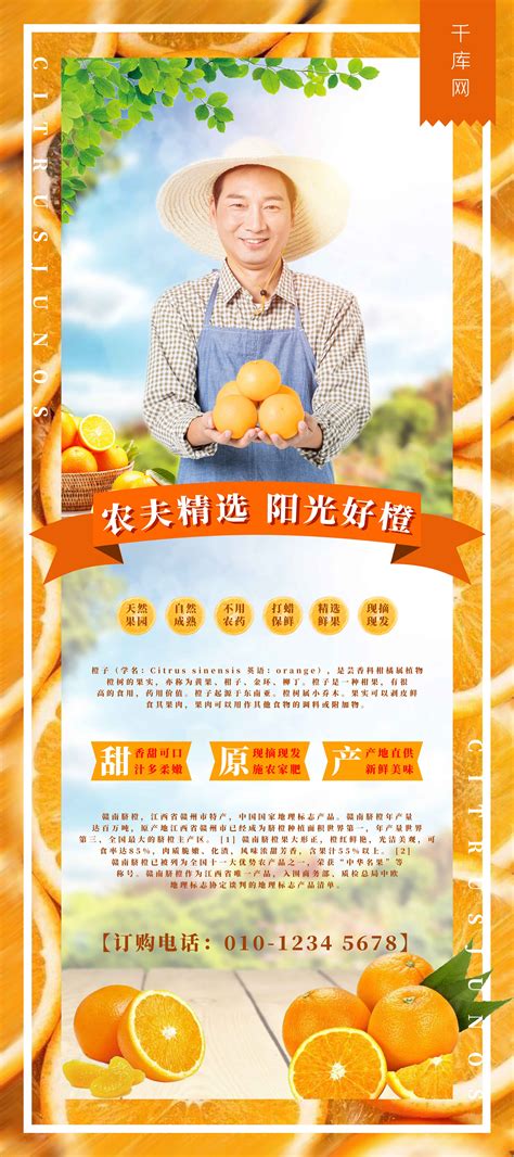 橙子赣南脐橙促销海报设计图片下载_红动中国