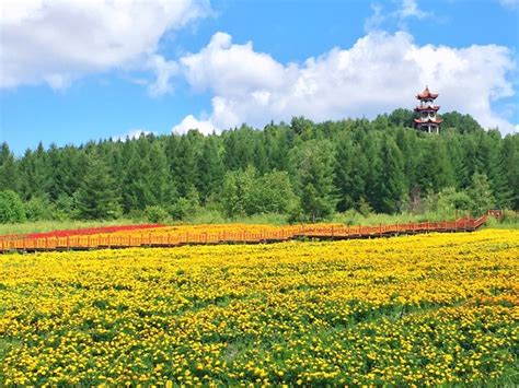 黑龙江省伊春现在发展得怎么样,伊春未来15天天气 - 闪电鸟