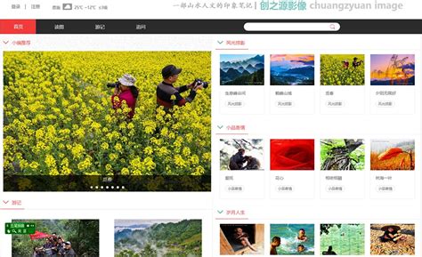 微博sns(社交网络)营销Word模板下载_熊猫办公
