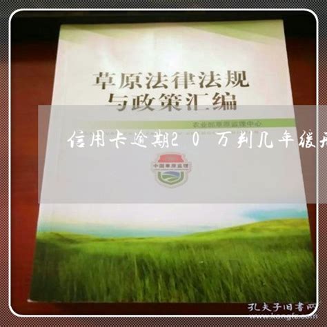 最高判刑13年！罚金800万！ 特大组织卖淫案一审判决_澎湃号·政务_澎湃新闻-The Paper