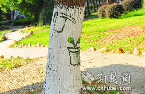 武汉：高校学子传递环保正能量 为大树绘上“连环画” 重庆风景园林网 重庆市风景园林学会