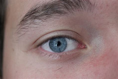 特写镜头的人的眼睛蓝眼睛的男人高清图片下载-正版图片300083778-摄图网