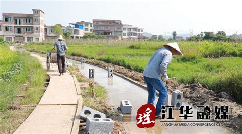 江华白芒营镇齐心村：干群引水修渠 保障农田灌溉_江华_永州站_红网