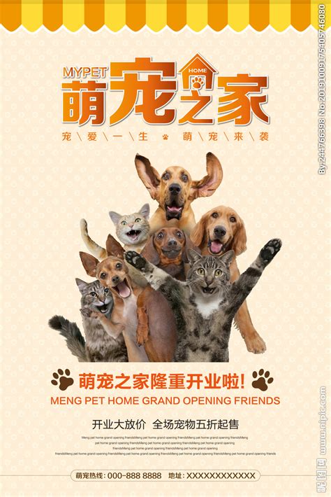 AGO宠物店海报设计|平面|宣传品|阿拉鱼鱼 - 原创作品 - 站酷 (ZCOOL)