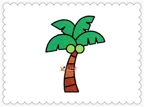 椰子树简笔画的画法步骤-露西学画画